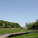 逆川緑地