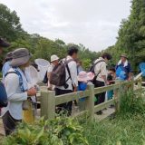 昨年の観察会の様子2